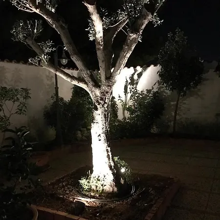 & House - Imparato Costa Carini