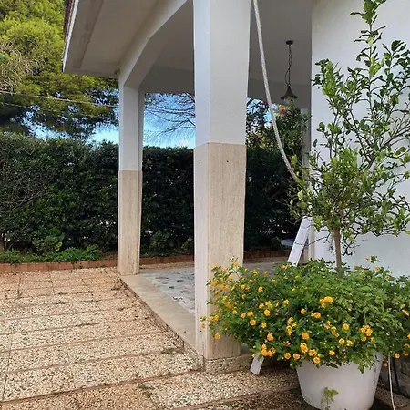 & House - Imparato Costa Carini
